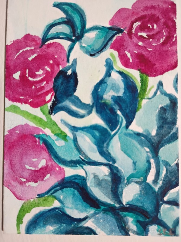 Succulents, Ranunculus ACEO Original Watercolor Painting, Sharon Foster gallery