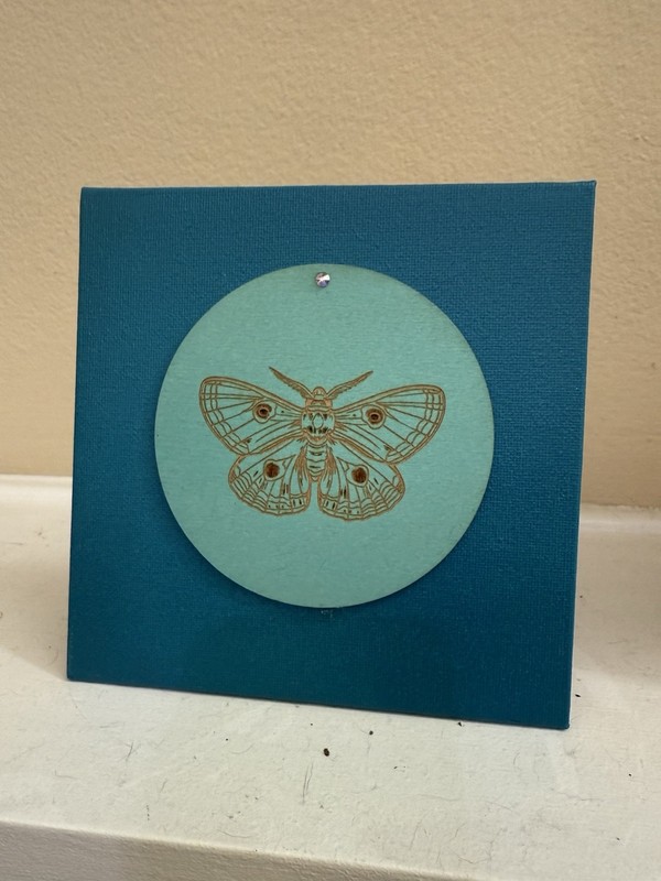 Laser Engraved Butterfly Image On Painted Canvas With Small Crystal Acent
