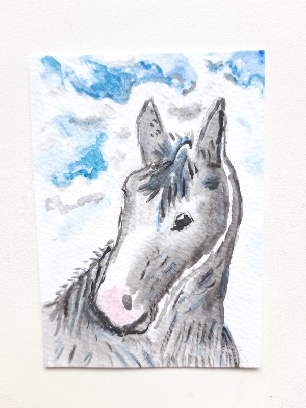 ACEO Original Painting animal head horses gray horse by Soili Laakso