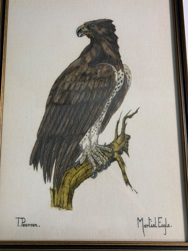 T. Pearson 1980s Needlepoint "Martial Eagle" Framed Art Painting Bird 15 x 11 gallery