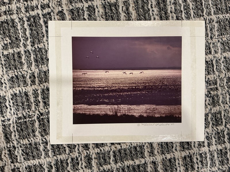 Silver Water , Michael Smith 1984 Original Picture 10” X 8”