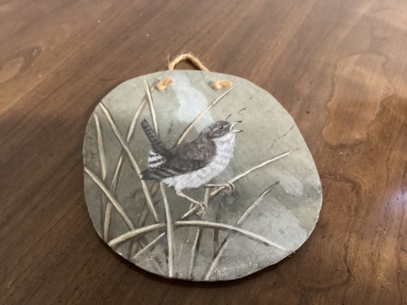 Wren / bird Painting On Slate