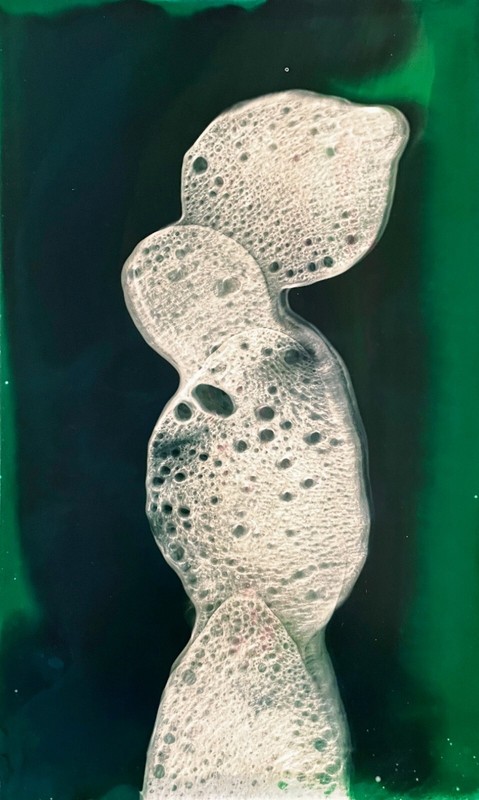 Jose Tonito Original painting.GREEN Back.Organic surrealism.Otherworldly art