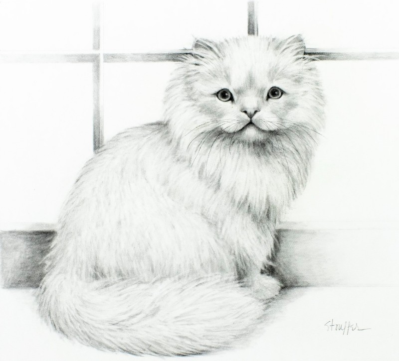 Stephanie Stouffer (VT,20/21C) graphite painting 141390