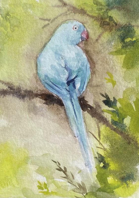 ACEO 100% Hand Painted Original Mixed Media Painting Art Bird