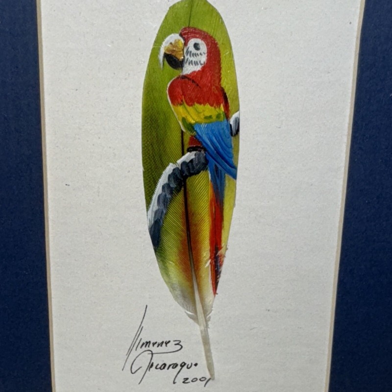 Macaw Parrot Feather Art Hand Painted Signed Painting Framed Signed 2001 Vintage gallery