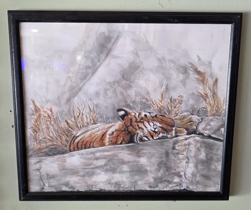Sleeping Tiger Original Watercolor Painting Framed 15.25″x13.25″