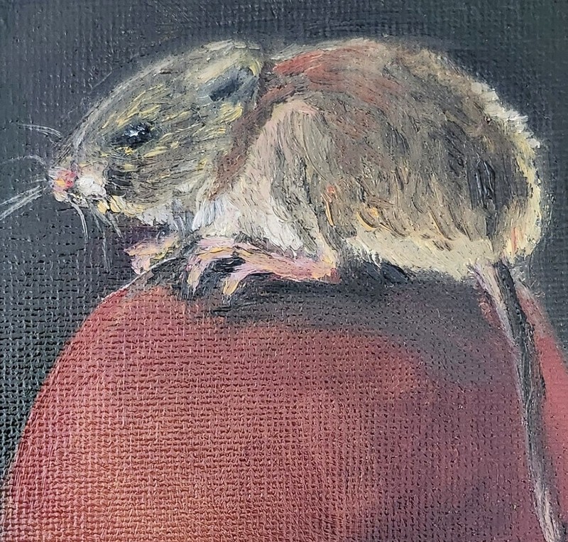Framed Original Oil Painting Mouse on Mushroom 5x7 Signed OOAK Woodland Art gallery