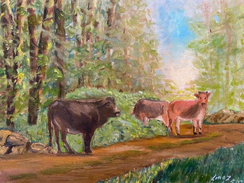 Oil painting Cows in Field on Canvas 1/2″ Thickness 12×16″