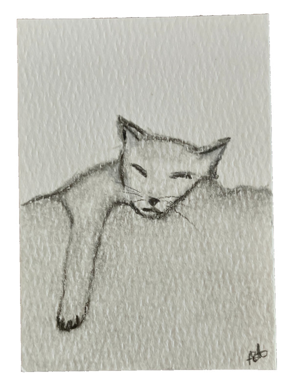 ACEO Original Art Graphite & Charcoal Drawing Cat Nap ATC by Smlldog