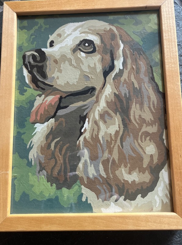 Vintage Paint-By-Number Cocker Spaniel Dog Beige Brown Framed w/Glass 7 X 9”