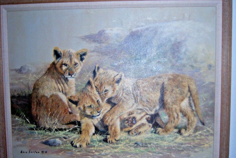 Eric Forlee Original Lion Cub Oil Painting