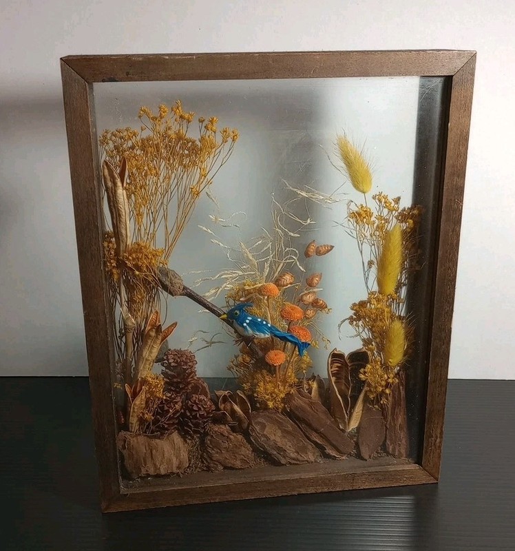 Vintage Handcrafted Wildlife Blue Jay Bird Wooden Shadow Box Artwork. 9″×10½»×2″