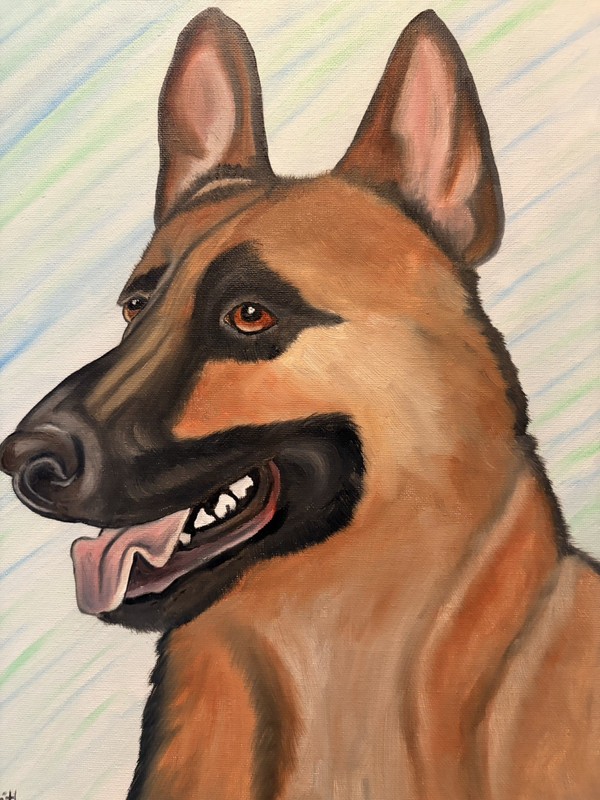 Original oil painting 11 x 14 inches handsome German Shepherd dog signed canvas gallery