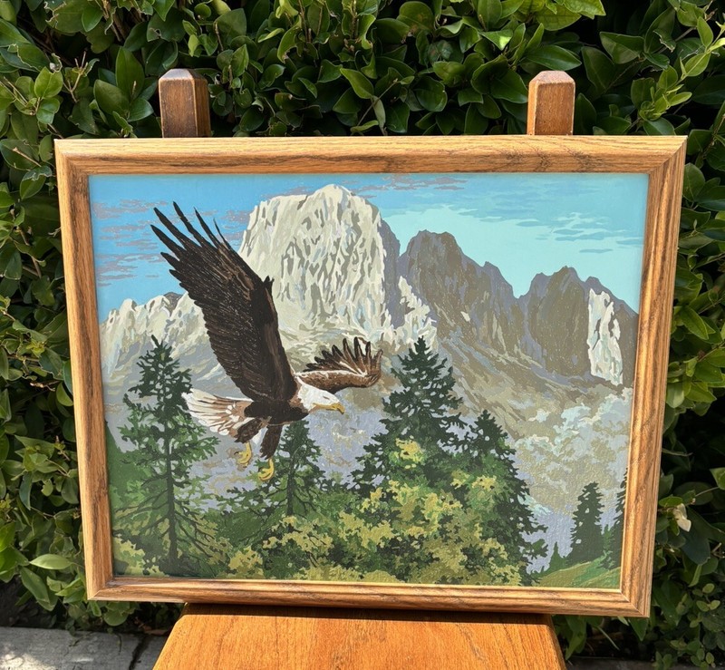 VTG Paint By Numbers Painting American Eagle Mountain Tree Landscape Oak Frame