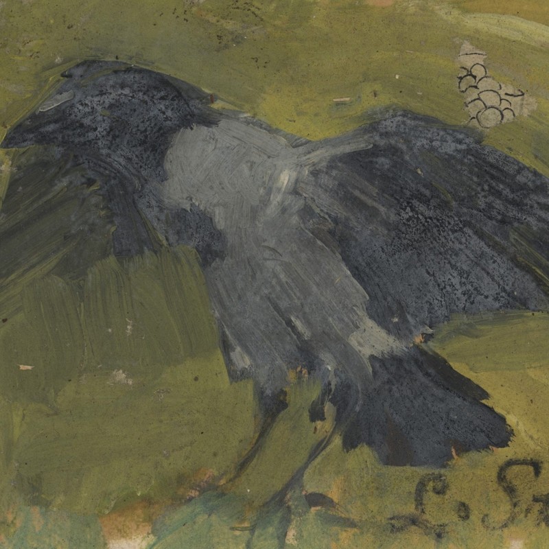 Unknown Fluttering Crow Bird Study Watercolor Original Signed Circa 1920