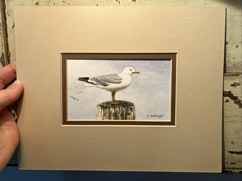 M. Lawrence Seagull Signed Painting