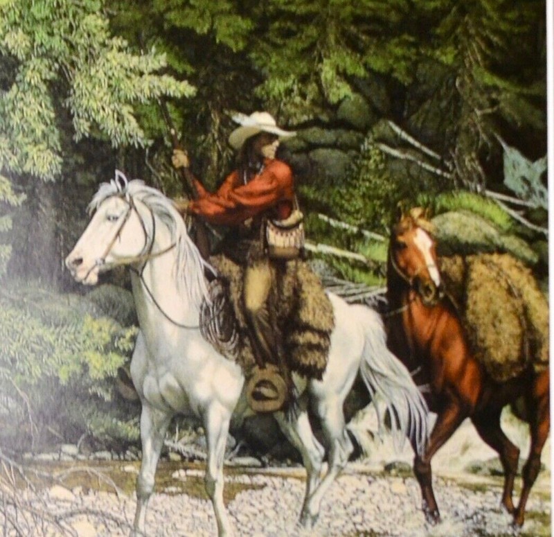 “The Forest Has Eyes ,NDN Book w/ Prints ! Book is Hand Signed by Bev Doolittle