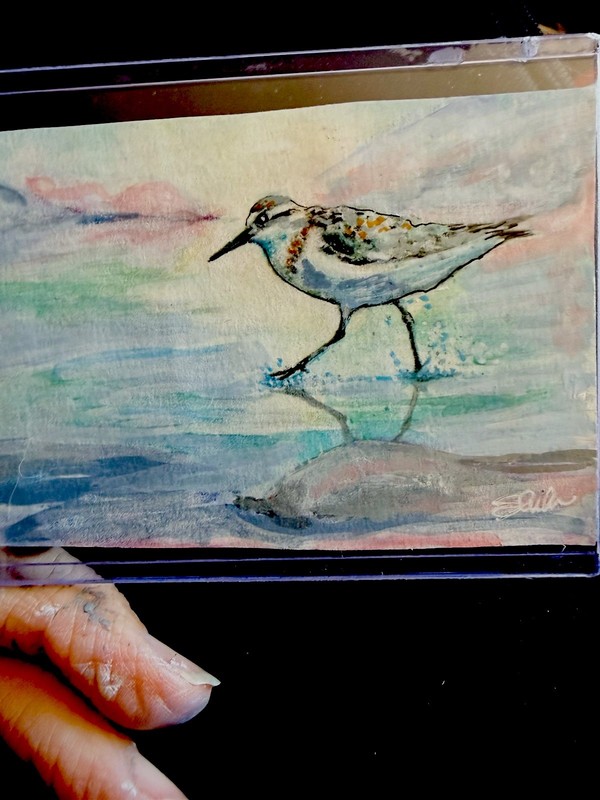 ACEO “Walking On Water” Sandpiper Multi-Media By Sheila Lofgreen gallery