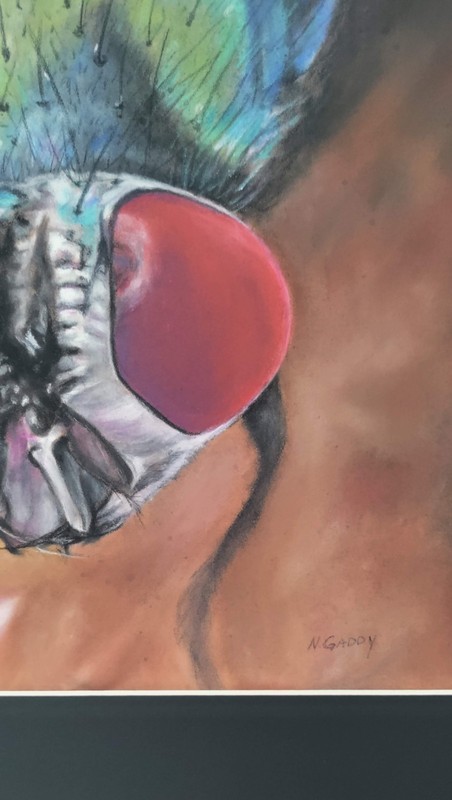 Original Colorful Fly 14 x 11 Pastel Paper Matted Art gallery