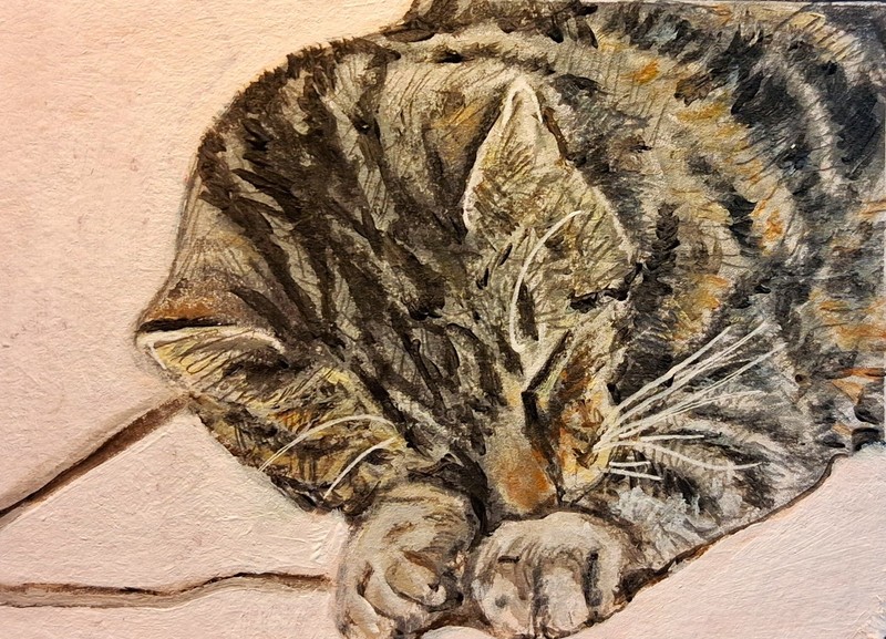 Original Miniature Painting ACEO Cat Tabby Napping on the Bed