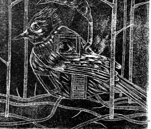 Crow Bird-House Art 15×11″ Forrest Home Black Raven Surrealism Nature Steampunk