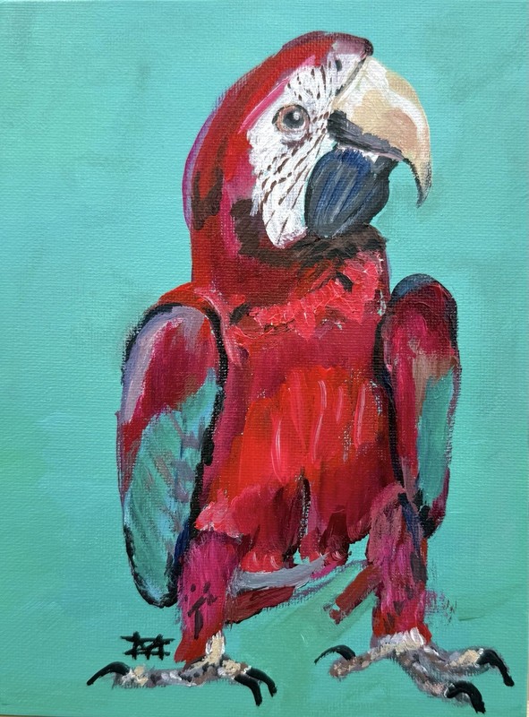 Original Parrot Acrylic Painting 5×7 Macaw Canvas Panel Bird Wall Art Small