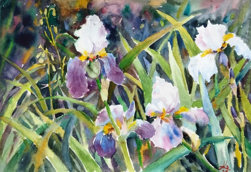Iris Flower Watercolor Painting Original Floral Art Purple Flowers Botanical Art