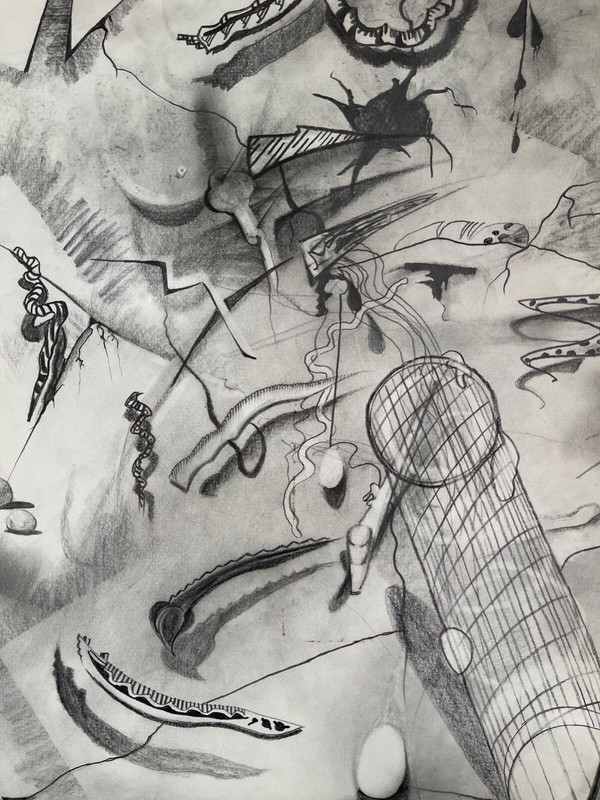 SIGNED ORIGINAL PENCIL DRAWING IAIA STUDENT UNABLE TO READ SIG 17" X 13.5 gallery