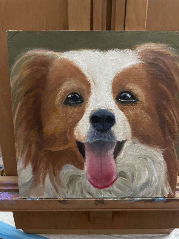 oil painting original Dog Portrait 8×8 Cotton Canvas Board