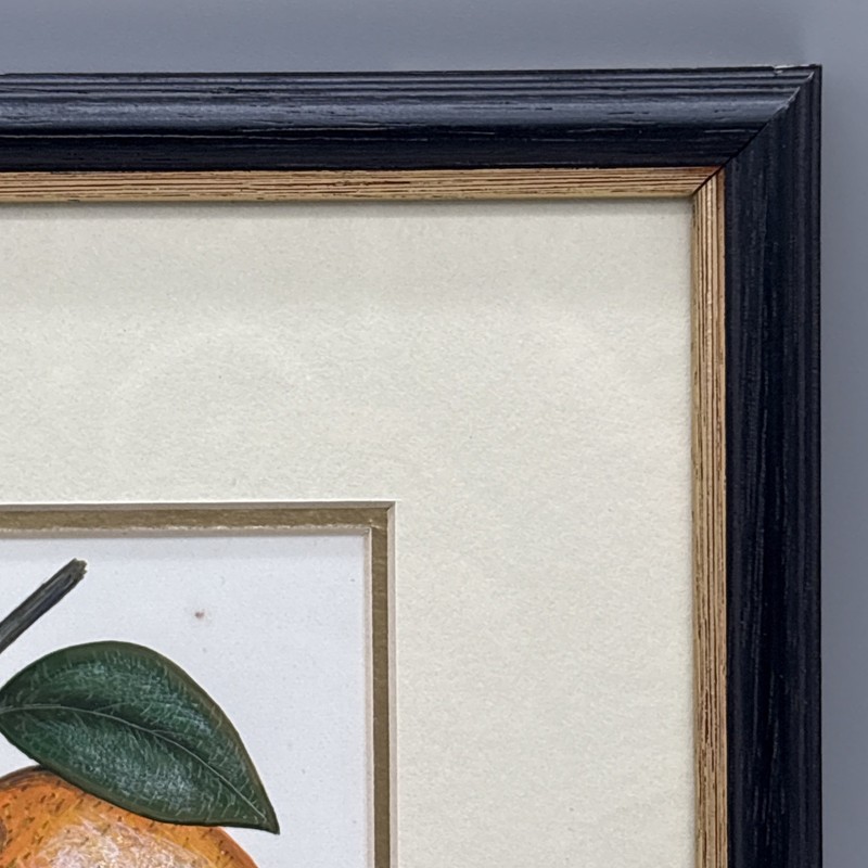 Bernard F Carter Original Watercolor Painting Orange Floral Birthday Book Jan 17 gallery