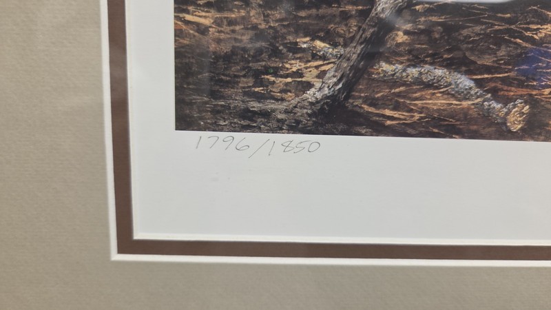 "Tom Turkey Time" NWTF painting Signed gallery