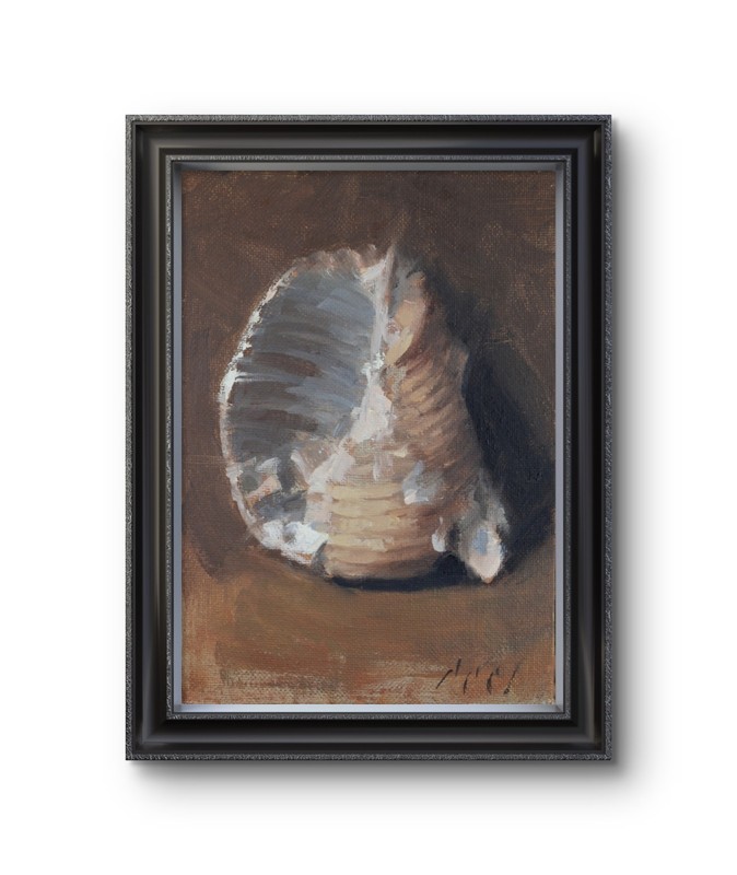 Original Still life Oil Painting a Day Seashell 5x7 Contemporary Realism Signed gallery