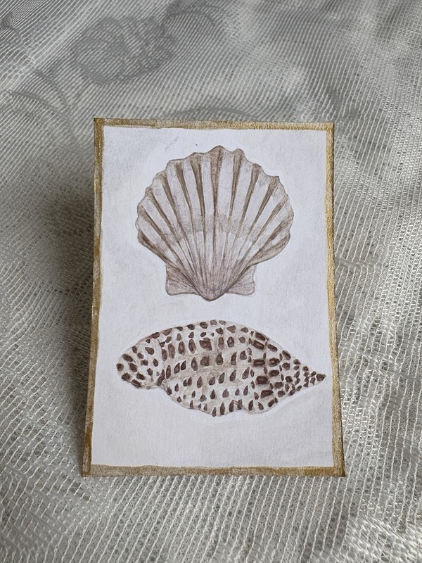 ACEO Original Shells Watercolor Metallic Trim MAILARTMAGIC