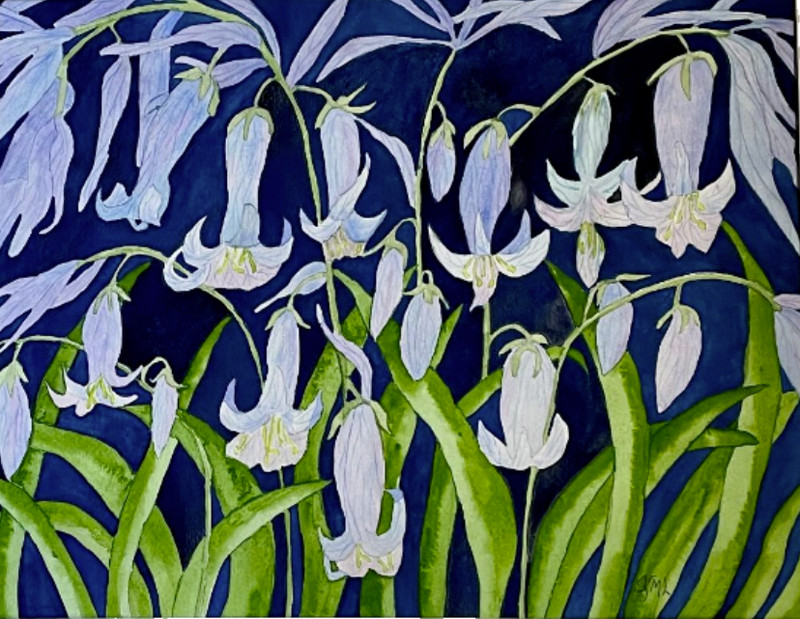PAINTING WATERCOLOR ORIGINAL ART BLUEBELLS FLOWER BLUE PURPLE 11X14 & 16X20 MAT