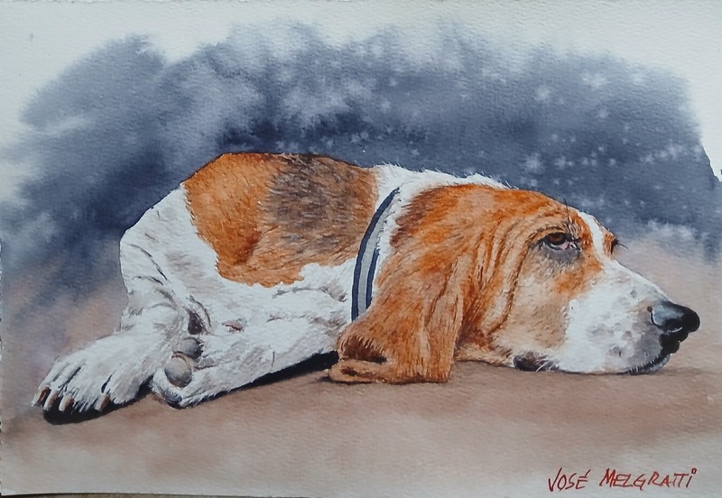 Original Watercolor Painting Tired Dog 8″ x 12″ NOT A PRINT