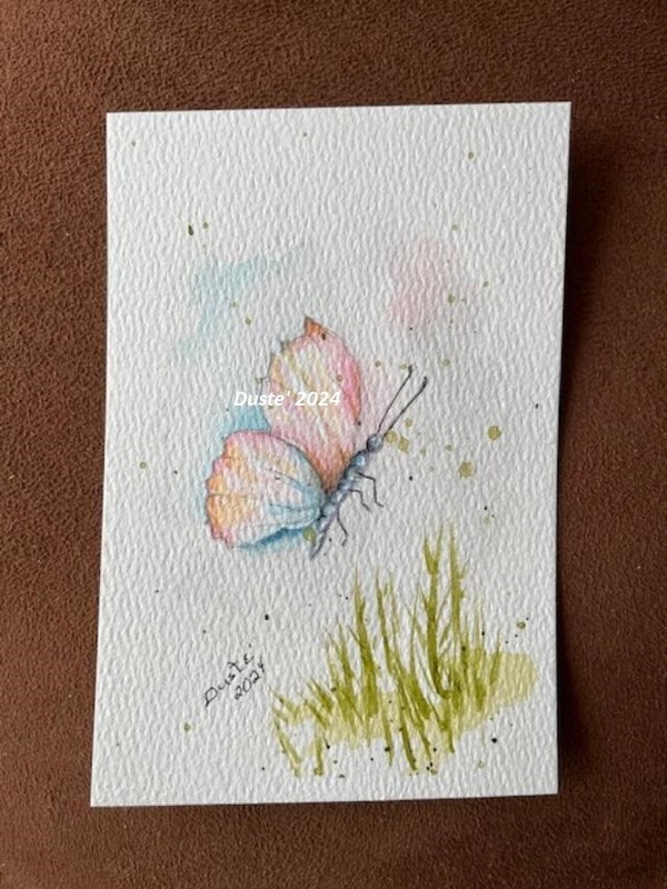 #045 Orginal Painted Watercolor Butterfly 4″ x 6″ Unframed Signed