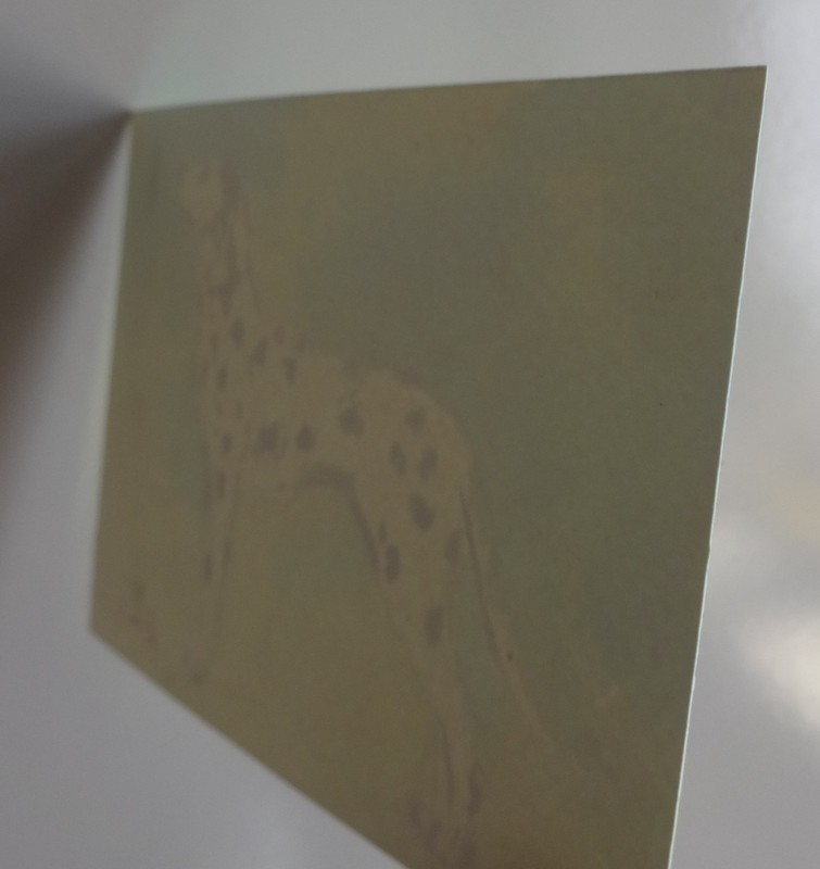 GERRY MILLER. “Dalmation” watercolor painting on paper. 13x9cm. gallery