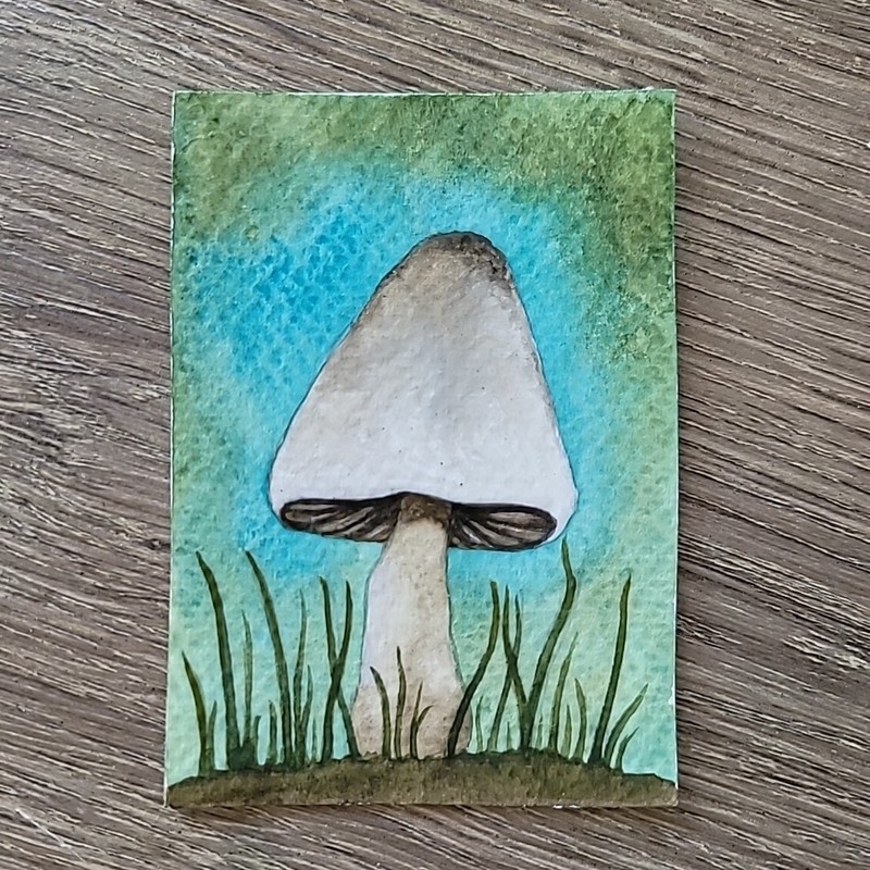 Aceo Original Watercolor Painting White Cap Forest Mushroom