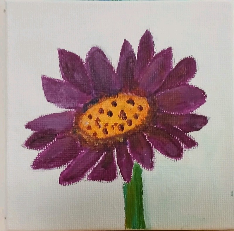 Violet Gerbera gallery
