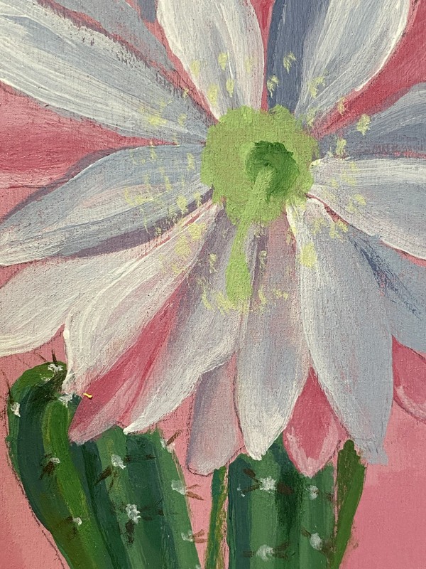 Colorful Cactus in Bloom Flower Western art 5x5 gallery