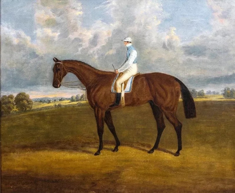 Horse With Gentleman Hand-Painted Oil Painting Wall Canvas Art MQ1077