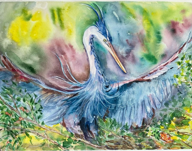 Great Blue Heron Watercolor Original Painting