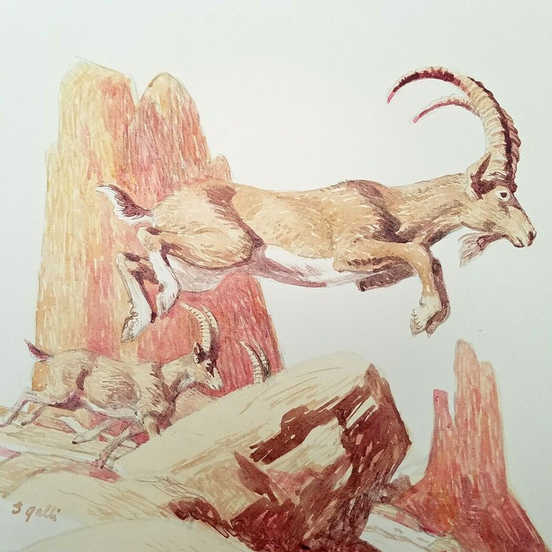 Original Stan Galli – California Southwest Watercolor Big Horn Rams Painting Vtg