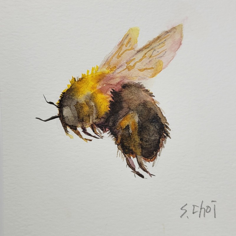 Bumblebee, Original Watercolor Insect Painting, 5x5 Inch, Unframed