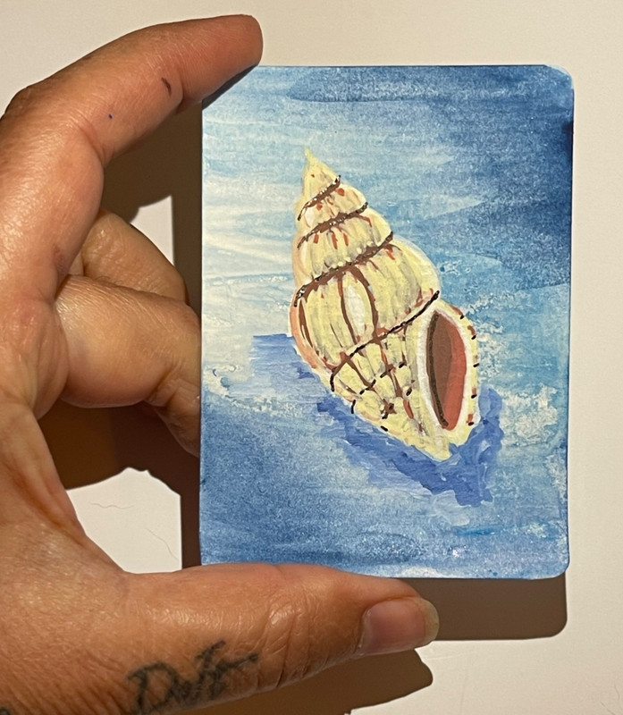 Original ACEO Conch Shell Painting OOAK Miniature Coastal Beach Art Card