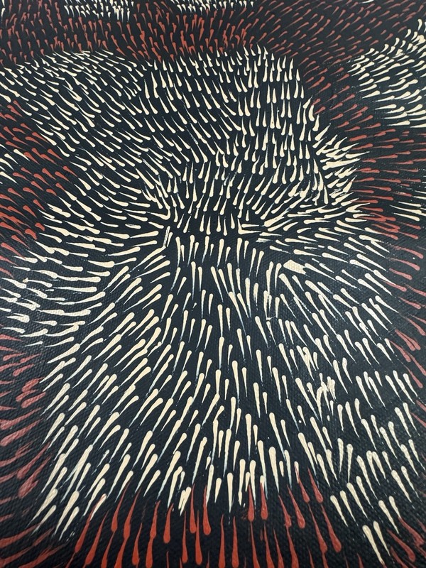 Patricia Kamara 💕Aboriginal Art 71cm X 40cm COA Supplied PK36B gallery