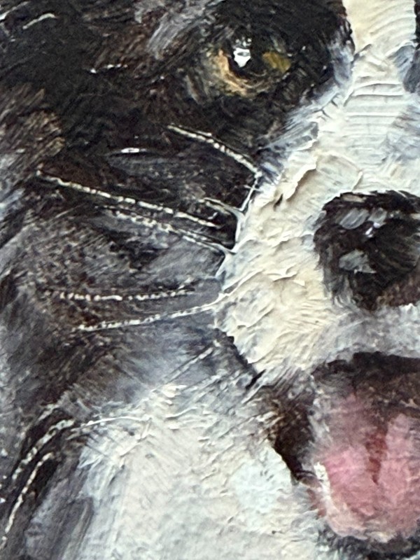Border Collie Oil Painting Original Framed Dog Portrait Animal Art Gift 6х4in gallery