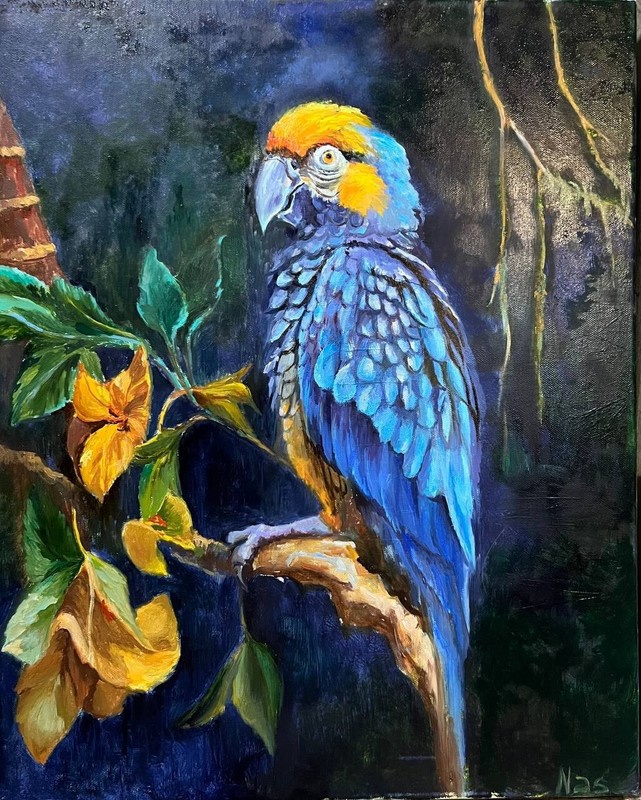 Parrot Portrait, Original Painting oil, 16×20 inches, Handmade Gift, Home Decor