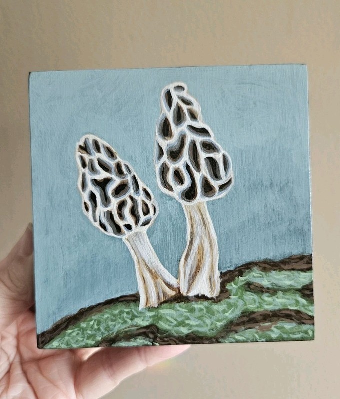 Morel Mushroom Original Painting Acrylic on Wood Panel Art Home Decor Unframed